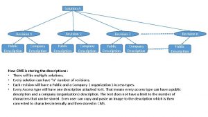 Solution A Revision 1 Public Description Company Description