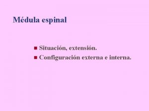 Mdula espinal Situacin extensin n Configuracin externa e