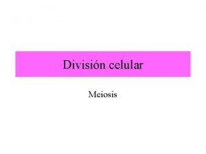 Divisin celular Meiosis Dotacin cromosmica de las clulas