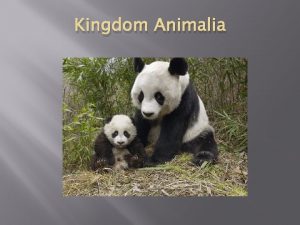 Kingdom Animalia Characteristics Animals are eukaryotic multicellular heterotrophic