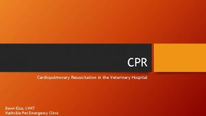 CPR Cardiopulmonary Resuscitation in the Veterinary Hospital Dawn