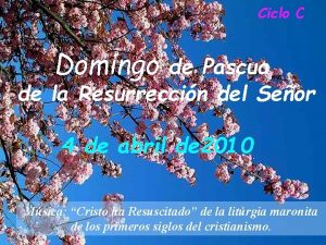 Ciclo C Domingo de Pascua de la Resurreccin
