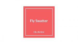 Fly Swatter Ch 1 Review 3 x 7