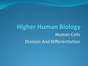 Higher Human Biology Human Cells Division And Differentiation