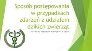 Sposb postpowania w przypadkach zdarze z udziaem dzikich