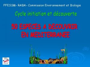 FFESSM RABA Commission Environnement et Biologie Actabulaire Acetabularia