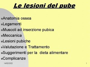 Le lesioni del pube Anatomia ossea n Legamenti