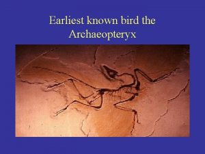 Earliest known bird the Archaeopteryx Charles Darwin Evolutionary