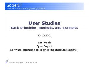 Sober IT Software Business and Engineering Institute User