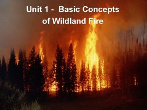 Unit 1 Basic Concepts of Wildland Fire 1