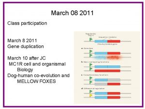 March 08 2011 Class participation March 8 2011