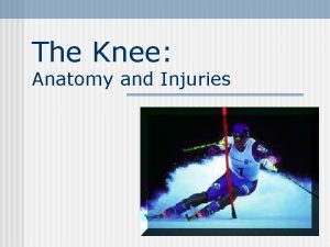 The Knee Anatomy and Injuries 2 Joints at