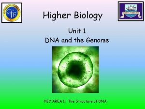 Higher Biology Unit 1 DNA and the Genome