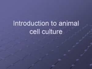 Introduction to animal cell culture CELL CULTURE Why