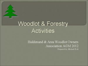 Woodlot Forestry Activities Haldimand Area Woodlot Owners Association