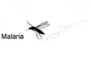 Malaria What is malaria A life threatening disease