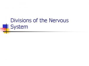 Divisions of the Nervous System Central Nervous System