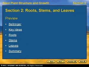 Seed Plant Structure and Growth Section 2 Roots