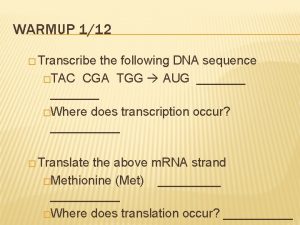 WARMUP 112 Transcribe the following DNA sequence TAC
