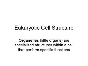 Eukaryotic Cell Structure Organelles little organs are specialized
