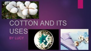 COTTON AND ITS USES BY LUCY Uses of