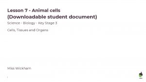 Lesson 7 Animal cells Downloadable student document Science