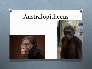 Australopithecus Who were the Australopithecus O 1 st