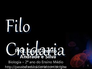 Filo Cnidaria Prof Giseli Trento Andrade e Silva