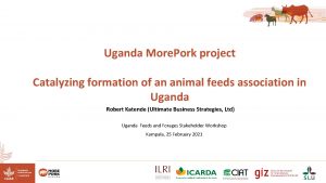 Uganda More Pork project Catalyzing formation of an