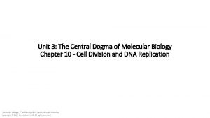 Unit 3 The Central Dogma of Molecular Biology