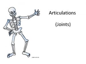 Articulations Joints Articulations Body movement occurs at joints
