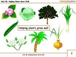 Unit 3 B Helping Plants Grow Well Helping