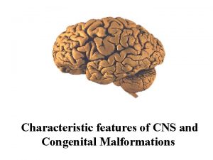 Characteristic features of CNS and Congenital Malformations Significant