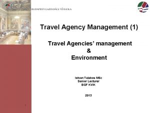 Travel Agency Management 1 Travel Agencies management Environment