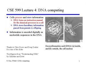 CSE 599 Lecture 4 DNA computing F Cells