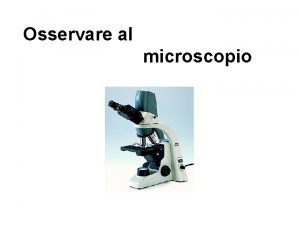 Osservare al microscopio Nascita ed evoluzione del microscopio