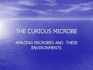 THE CURIOUS MICROBE AMAZING MICROBES AND THEIR ENVIRONMENTS