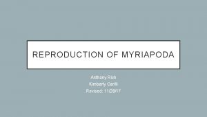REPRODUCTION OF MYRIAPODA Anthony Rich Kimberly Cerilli Revised