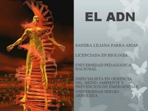 EL ADN SANDRA LILIANA PARRA ARIAS LICENCIADA EN