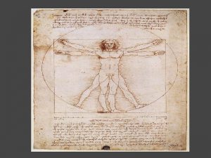 The Vitruvian Man The Drawing The Vitruvian Man