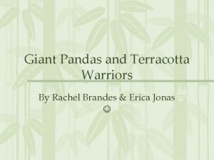 Giant Pandas and Terracotta Warriors By Rachel Brandes