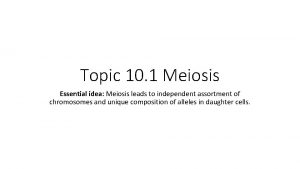 Topic 10 1 Meiosis Essential idea Meiosis leads