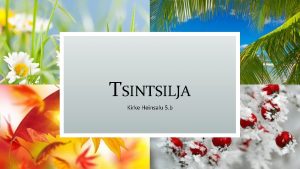 TSINTSILJA Kirke Heinsalu 5 b TUTVUSTUSEKS Tintilja ehk