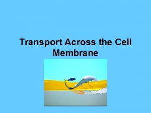 Transport Across the Cell Membrane Diffusion Diffusion Movement