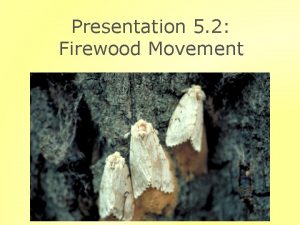 Presentation 5 2 Firewood Movement Outline Invasive Species