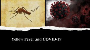 Yellow Fever and COVID19 Day 3 Fever 1793