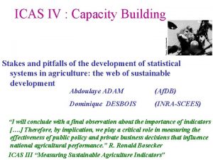 ICAS IV Capacity Building Stakes and pitfalls of