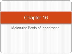 Chapter 16 Molecular Basis of Inheritance History of