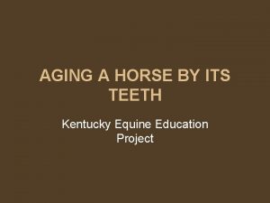 AGING A HORSE BY ITS TEETH Kentucky Equine