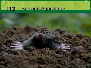 CHAPTER 12 Soil and Agriculture Possible Transgenic Maize